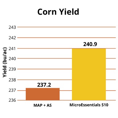 Corn Yield
